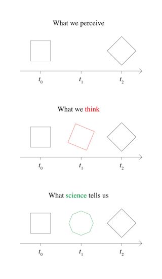 What We Perceive, What We Think, What Science Tells Us (2012) Medium: Print Dimensions: 55 × 32 cm.